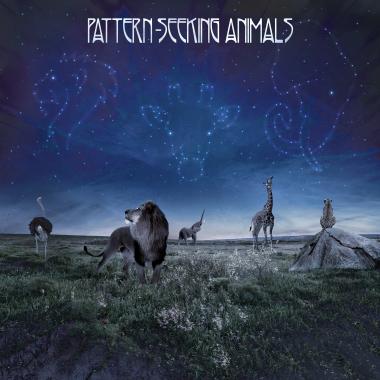 Pattern Seeking Animals -  Pattern Seeking Animals